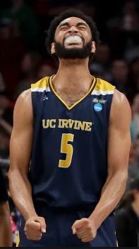 UC Irvine Anteaters