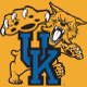 Kentucky Wildcats