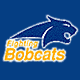 1997-8: New Logo (Need 95-97)