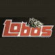 1999-00: New Logo (Need 95-99)