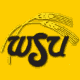 2002-3: New Logo