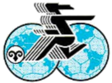 1991 Women's World Cup Logo