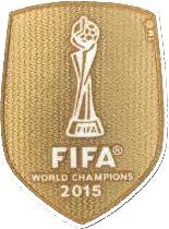 2015 Patch